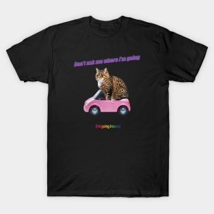 Don't ask me where I'm going (I'm going insane) T-Shirt